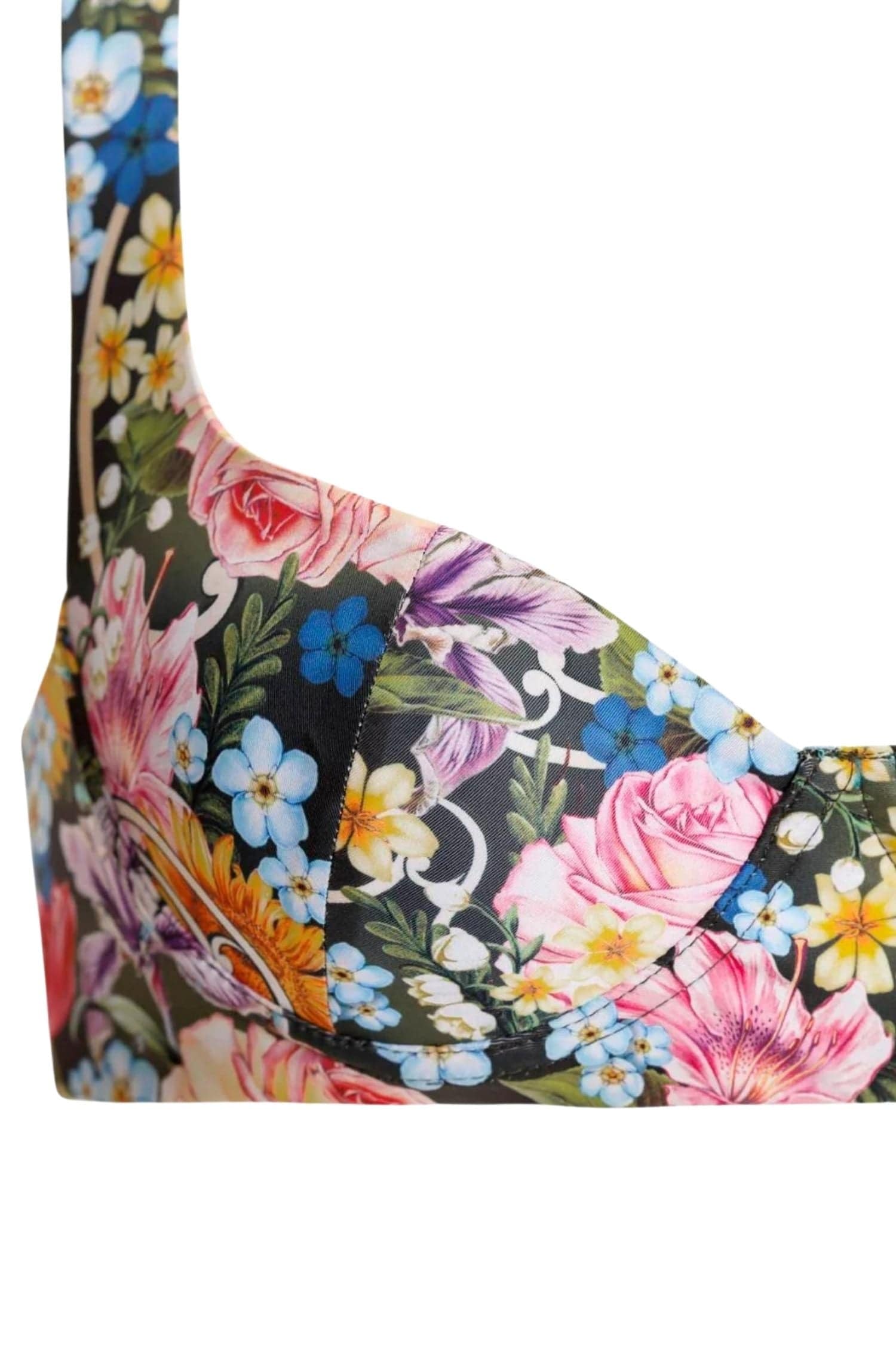 Agua Bendita Balena Bikini Top Dreamin