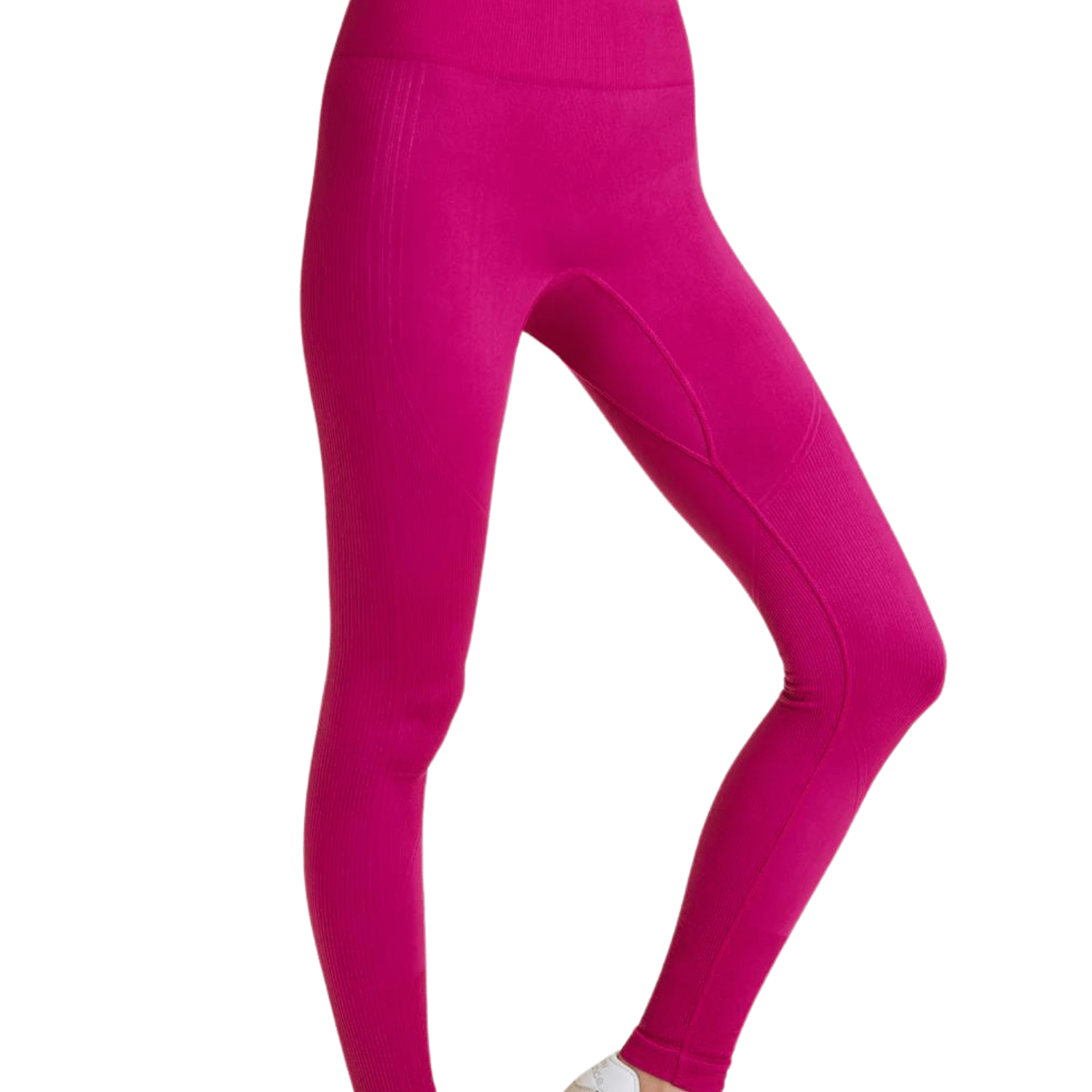 Alala Barre Seamless Tight Raspberry