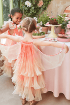Meri Meri Fairy Costume Pink